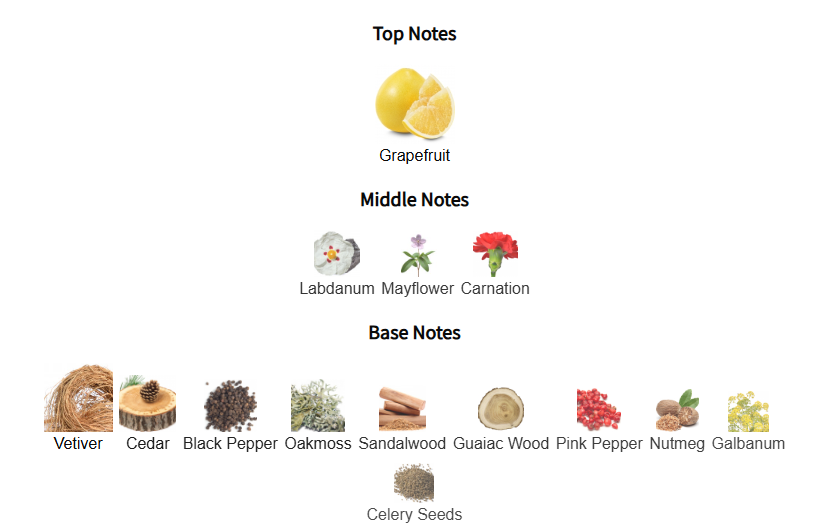 Chart of top, middle, and base notes with corresponding botanical images on a white background