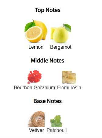 Chart of top, middle, and base notes with corresponding botanical images on a white background.