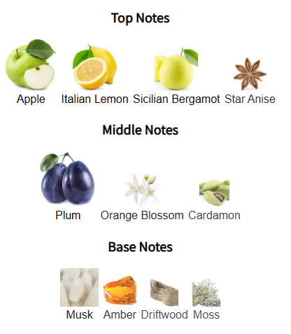 Chart of top, middle, and base notes with corresponding images and names on a white background.