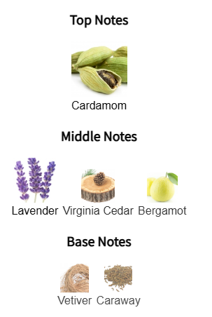 Chart of top, middle, and base notes with corresponding images and names on a white background.