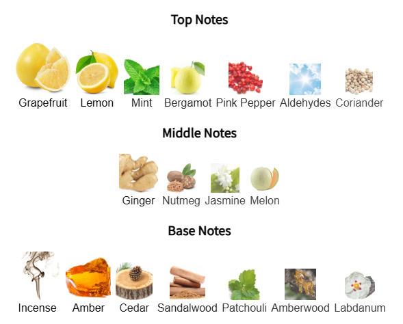 Chart of top, middle, and base notes with corresponding icons on a white background
