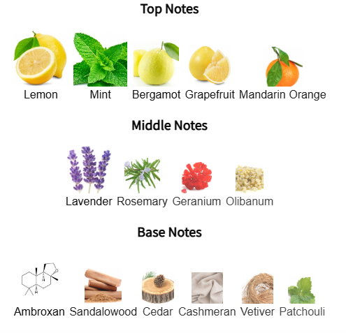 Chart of top, middle, and base notes with corresponding images and names.