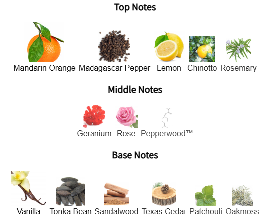 Illustrations of top, middle, and base notes with corresponding scents on a white background.