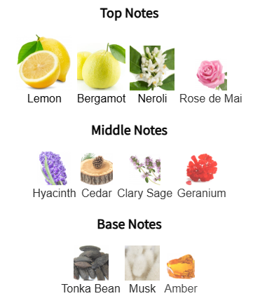 Chart of top, middle, and base notes with corresponding floral and aromatic icons on a white background.