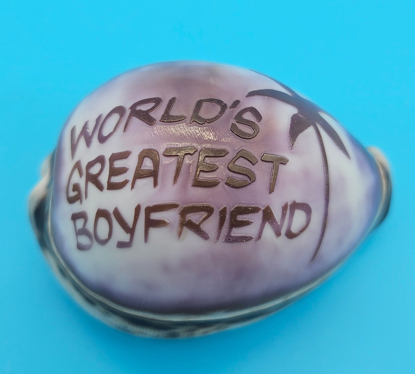 Carved Cowrie Shell Magnet – Coastal Gift Boyfriend, Mom, Girlfriend, Dad, or Soulmate 3"