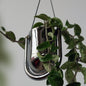 Portico Planter