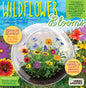Wildflower Blooms Glass Terrarium Seed Starting Kit