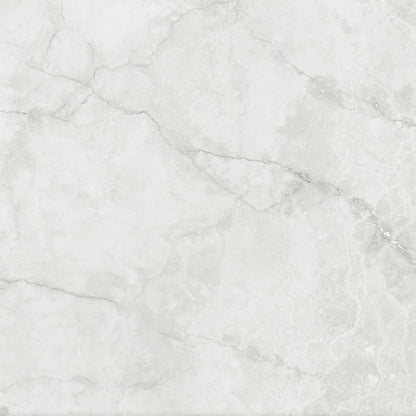 Coliseum Antic Marble Herme