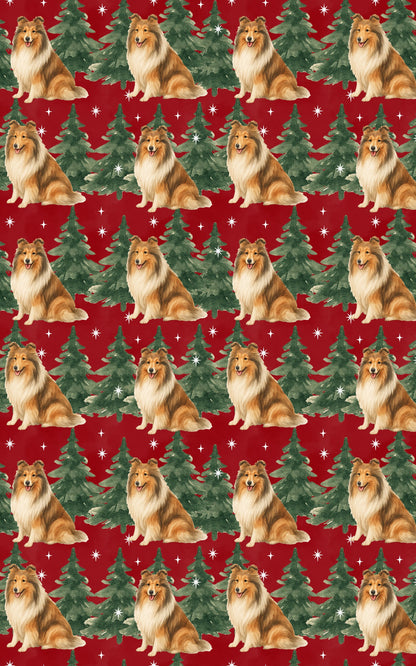 Collie in Winter Pines