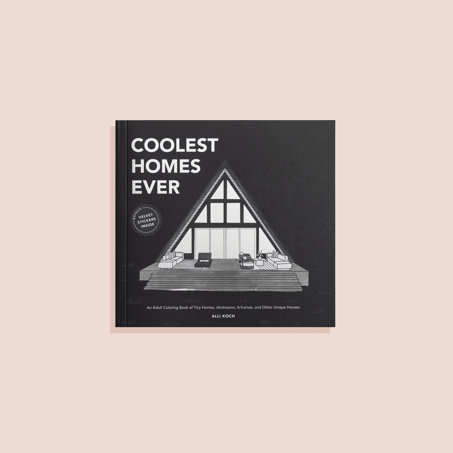 Coolest Homes Ever (Mini)