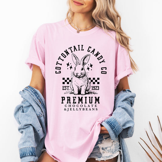 Cottontail Candy, Easter, Bunny, Jesus, Rabbit, Holiday Tshirt Comfort Colors T-Shirt