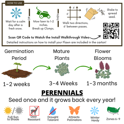 Crimson Clover Eco-Friendly Seeding Kit