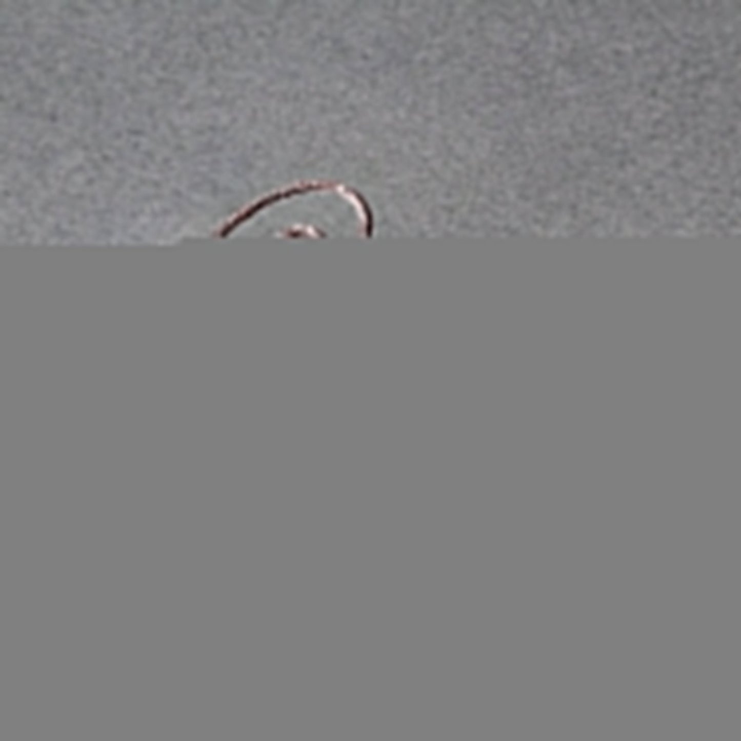 14k Rose Gold Diamond Cut Round Wheat Chain (0.70 mm)