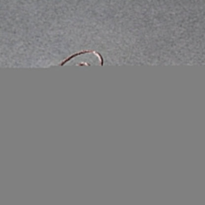 14k Rose Gold Diamond Cut Round Wheat Chain (0.70 mm)