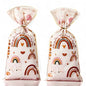 Boho Party Favor Bags for Adults - Rainbow Gift Wrap 10-Pack