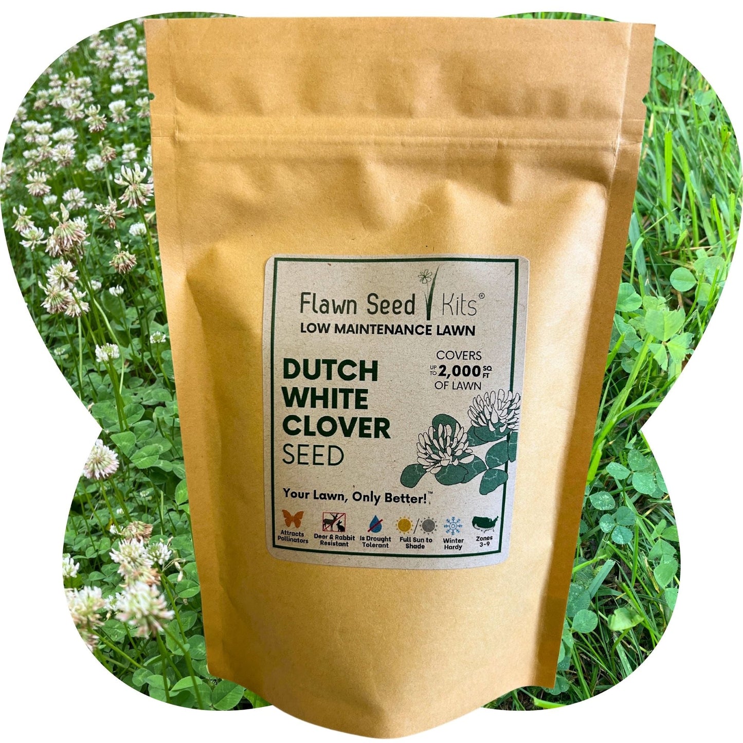 Dutch White Clover Seed