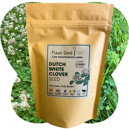Dutch White Clover Seed