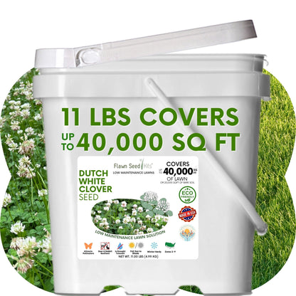 Dutch White Clover Seed