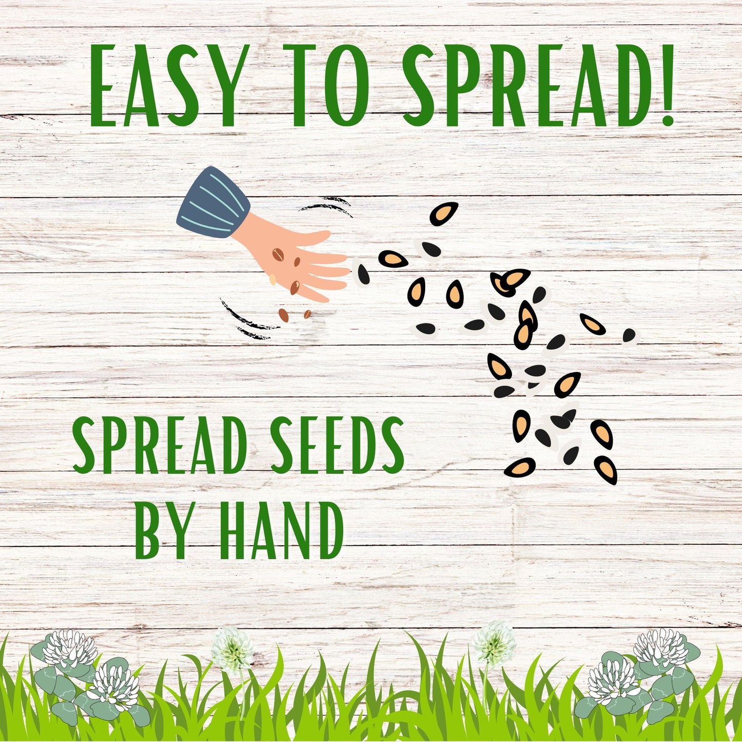 Dutch White Clover Seed