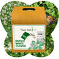Dutch White Clover Eco-Friendly Seeding Kit