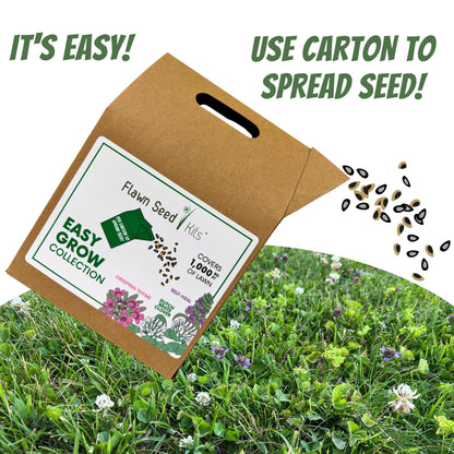 Easy Grow Dutch Clover Bee Lawn Eco-Friendly Kit