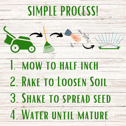 Dutch White Clover Seed