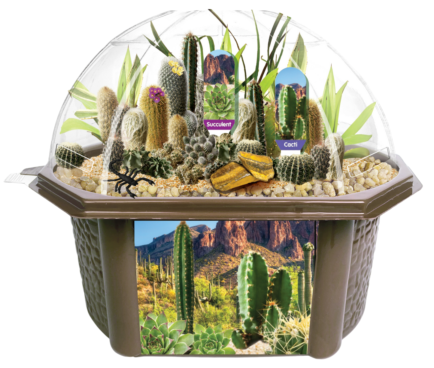 Desert Dome Biosphere Terrarium