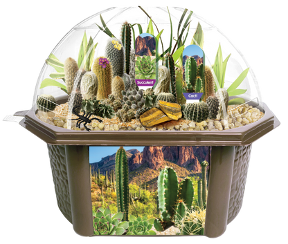 Desert Dome Biosphere Terrarium