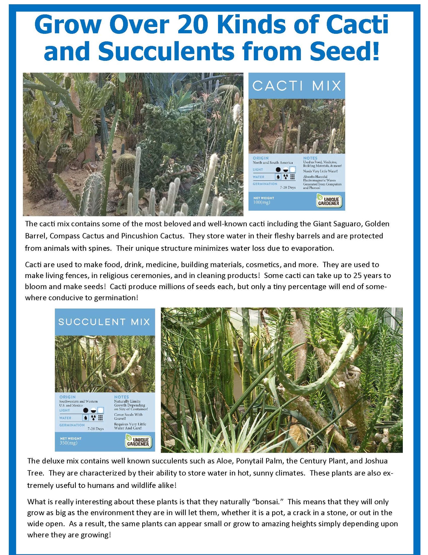 Desert Dome Biosphere Terrarium