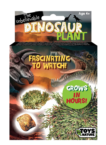 Dinosaur Plant -  Multipack of 3