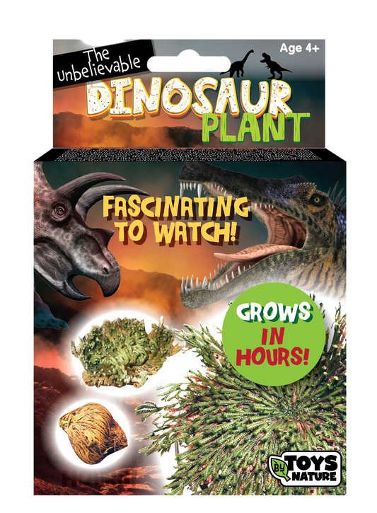 Dinosaur Plant -  Multipack of 3