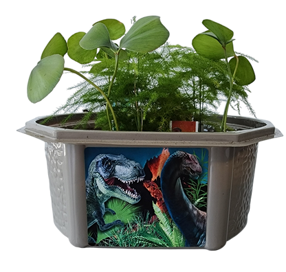 Dinosaur Domain Biosphere Terrarium