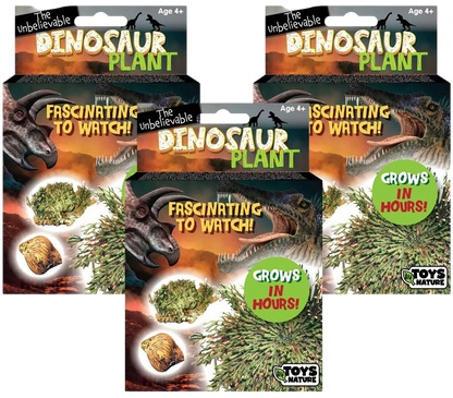 Dinosaur Plant -  Multipack of 3
