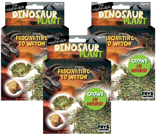 Dinosaur Plant -  Multipack of 3