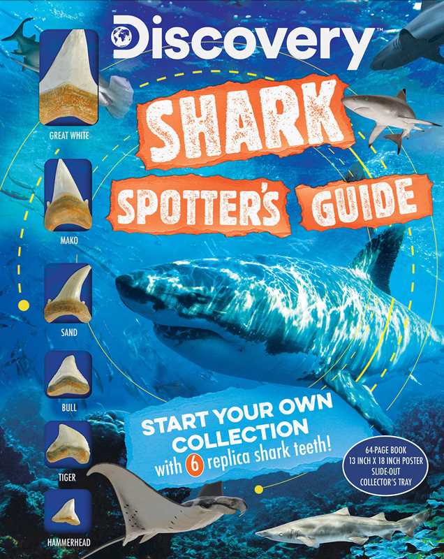 Discovery: Shark Spotter’s Guide, With Poster & Replica Teeth- Box Set