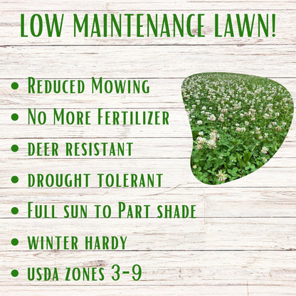 Dutch White Clover + Mow Less Grass Seed
