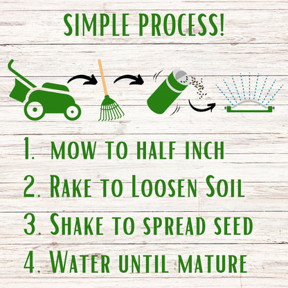 Dutch White Clover Easy Spread Shaker