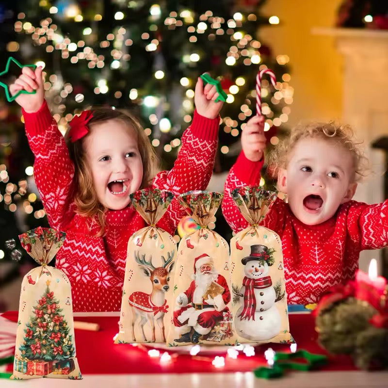 Xmas Goodie Bags - Christmas Party Gift Wraps 10-Pack