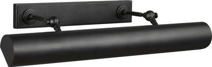 Kenyon 24" Picture Light