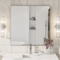 Eviva Vista Brushed Nickel Metal Framed Mirror