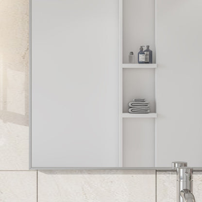 Eviva Vista Brushed Nickel Metal Framed Mirror