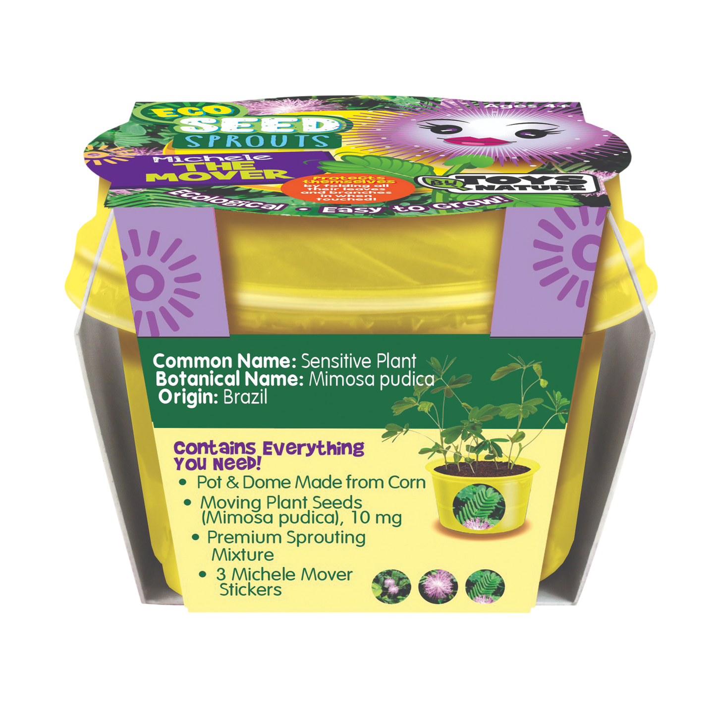 Eco Seed Sprouts 6 Variety Assortment Pack – 1 of Each