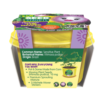 Eco Seed Sprouts 6 Variety Assortment Pack – 1 of Each