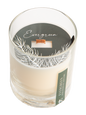 Evergreen Wooden Wick Candle