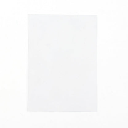 TCG/Pokémon Exquisite Fit Side Loading Inner Sleeves (100 count)