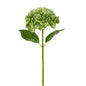 19" Iced Green Hydrangea Stem