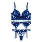 Ty094Bp3 Deep V Ultra-Thin Gauze Embroidered Garter Belt 3 Piece Underwear Set