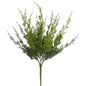 19" Green Monterey Cypress Bush