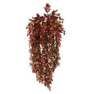 GOLDEN WASHED RUSCUS HANGING, BUSH 33", COPPER/GOLD