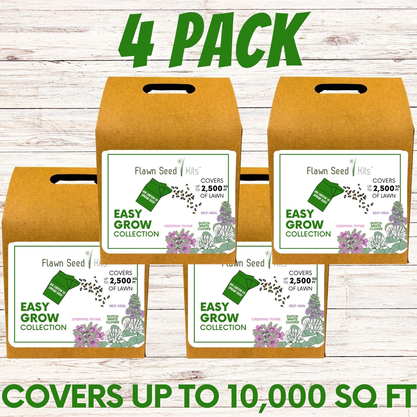 Easy Grow Dutch Clover Bee Lawn Eco-Friendly Kit